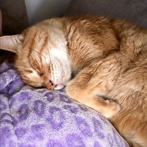 Meet your Posher, Wendy